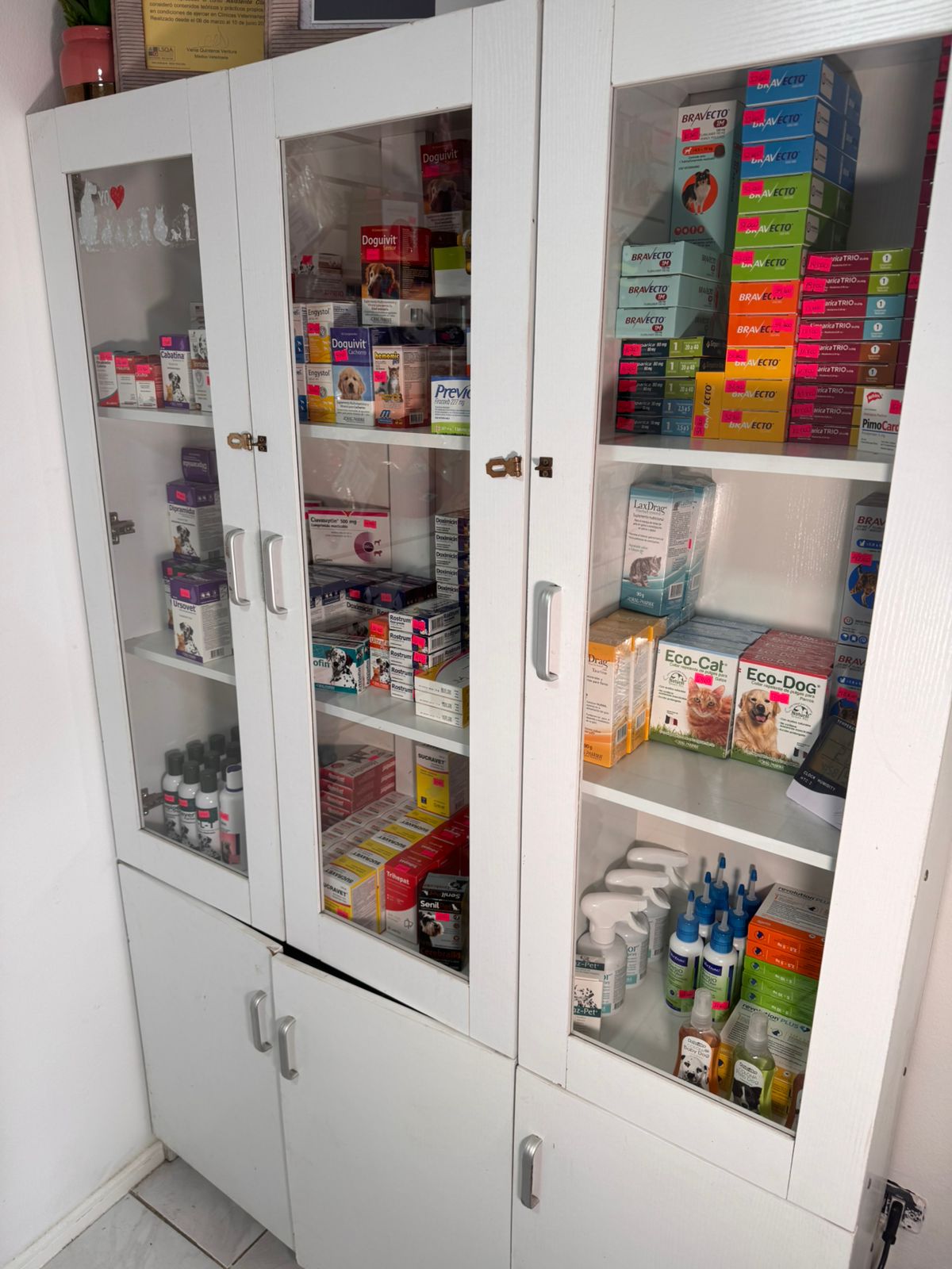 Farmacia veterinaria especializada