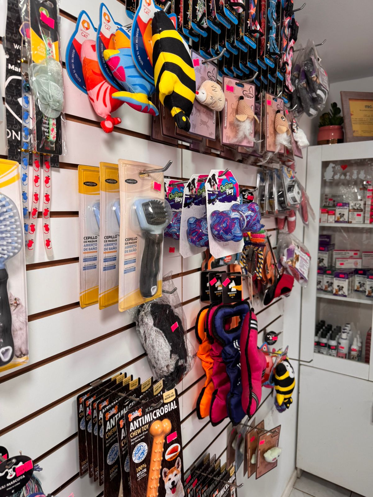 Variedad de accesorios para mascotas